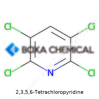 2,3,5,6-Tetrachloropyridine