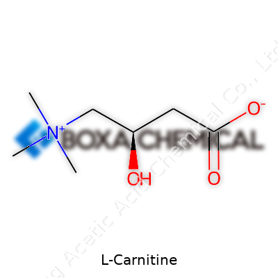 L-Carnitine
